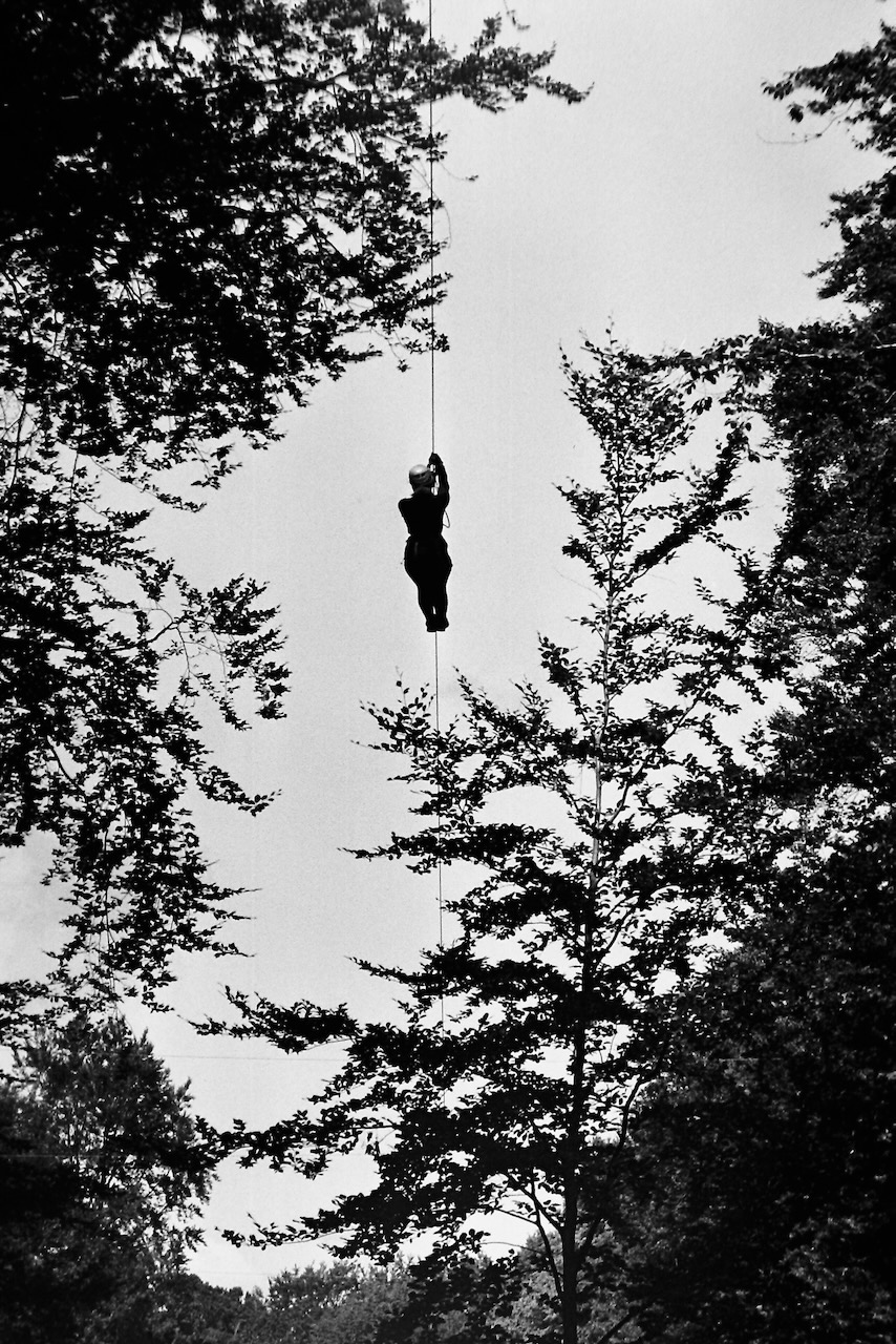 High contrast picture taken from a low angle, you see a rope and a person seems to be rappeling down. The person is frame by dark leaves from the tree.